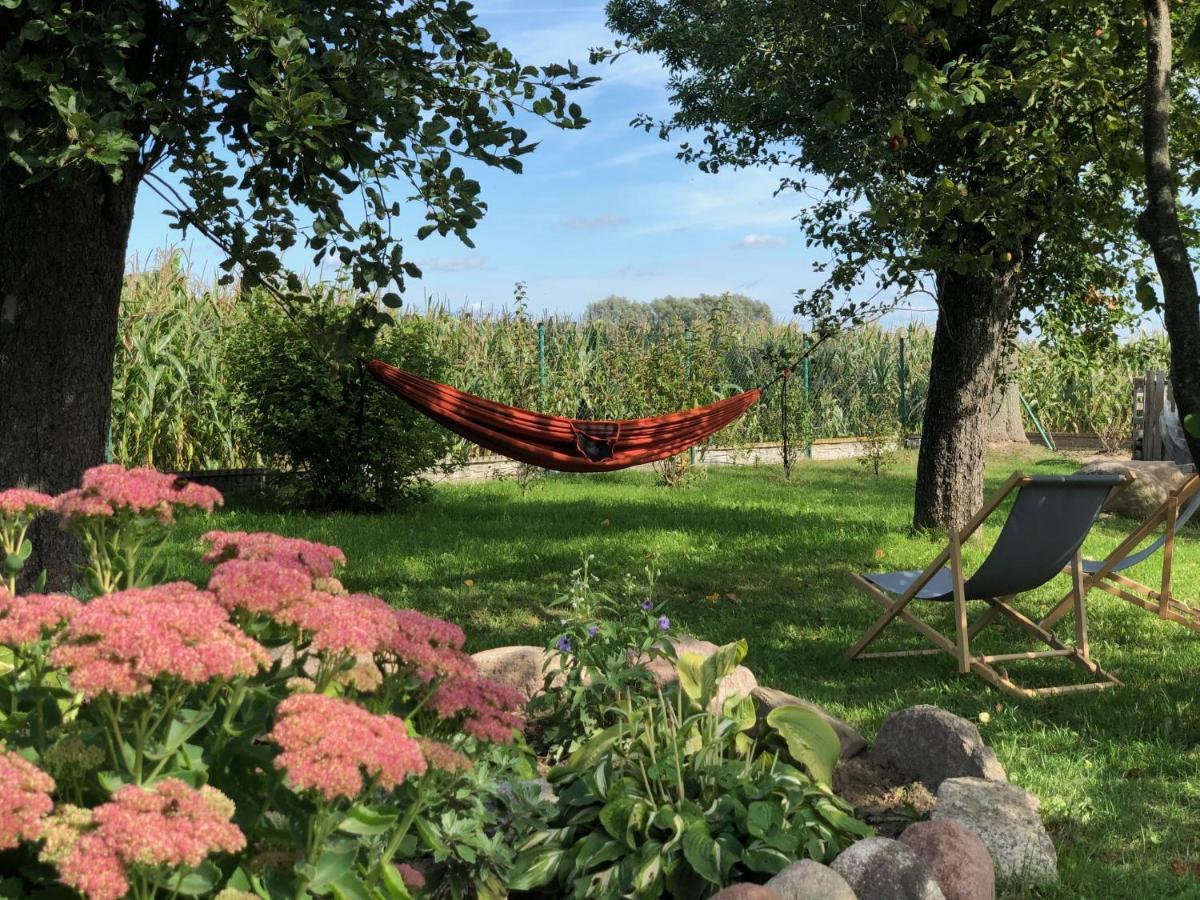 Zagroda U Leny - Dom Na Wylacznosc Czyze Exteriör bild