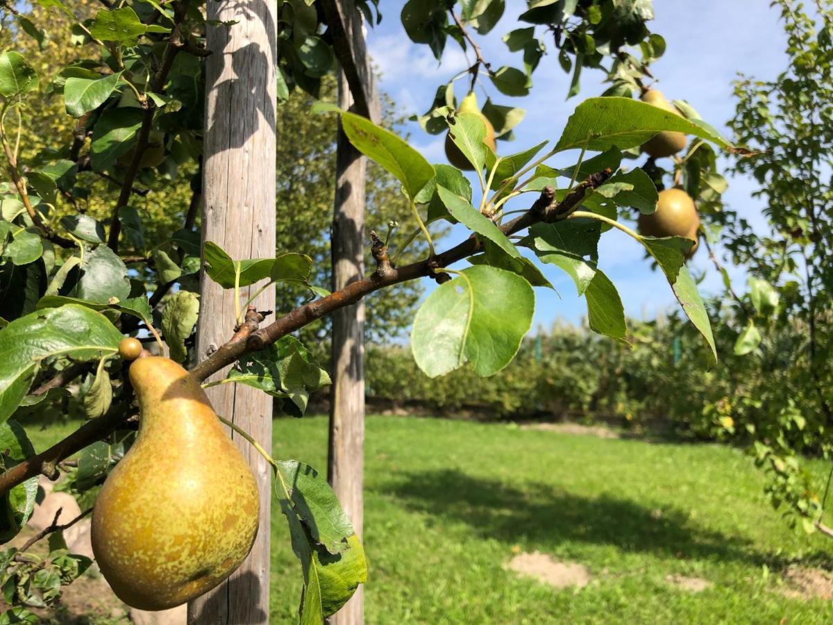 Zagroda U Leny - Dom Na Wylacznosc Czyze Exteriör bild