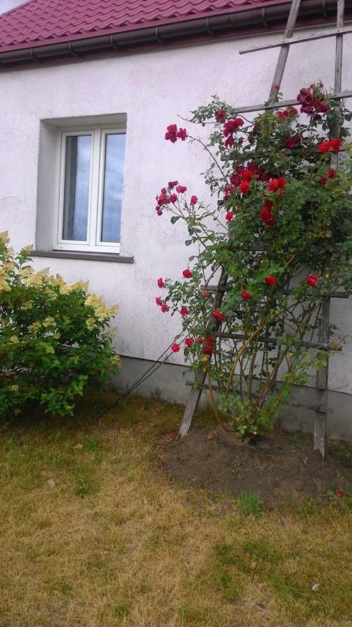 Zagroda U Leny - Dom Na Wylacznosc Czyze Exteriör bild