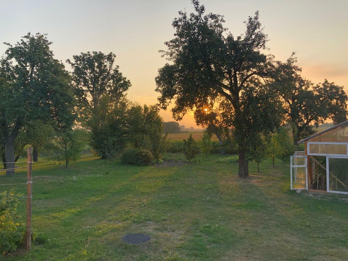 Zagroda U Leny - Dom Na Wylacznosc Czyze Exteriör bild