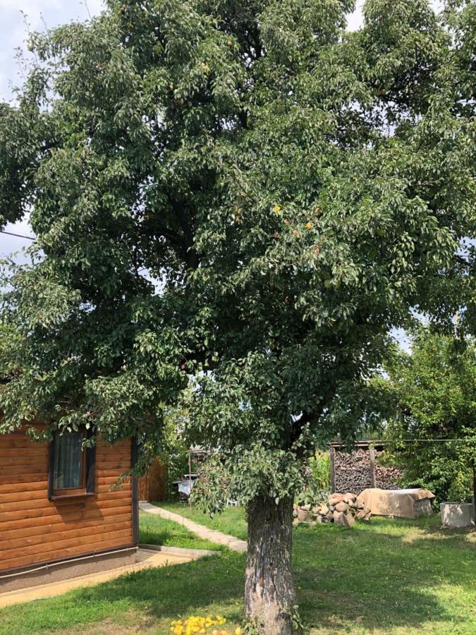 Zagroda U Leny - Dom Na Wylacznosc Czyze Exteriör bild